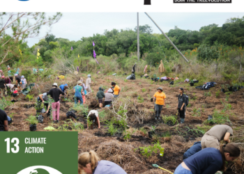 Schauenburg in partnership with Greenpop plant 960 trees in the Western Cape.